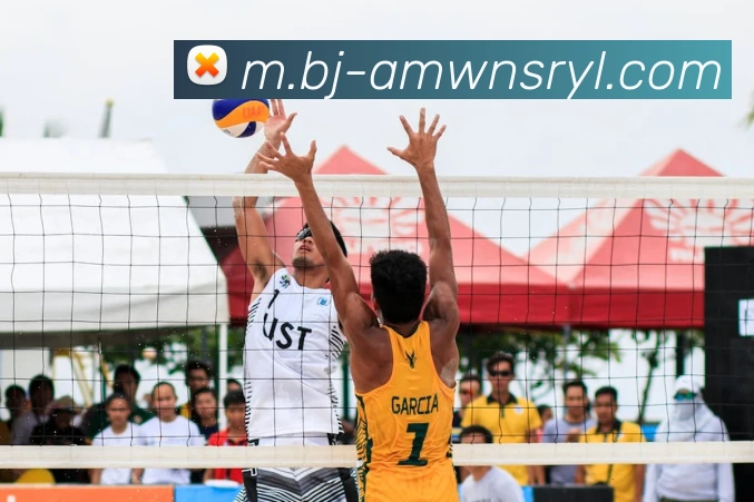 威尼斯人官网平台生态图