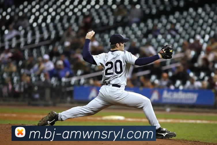 威尼斯人官网全站App